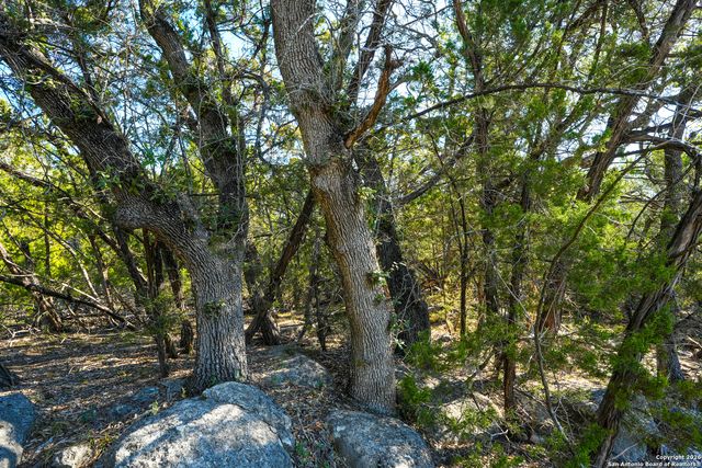 1515 OLD BOERNE RD, Bulverde, TX 78163