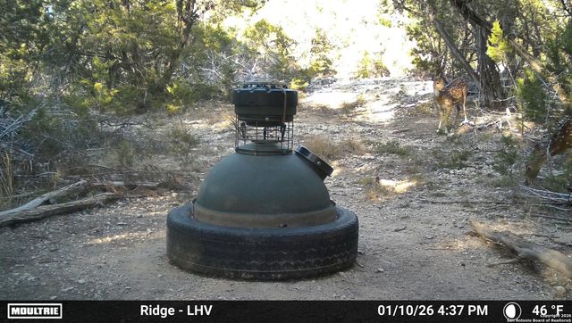 1515 OLD BOERNE RD, Bulverde, TX 78163