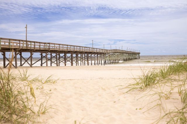 124 Condor Ct, Pawleys Island, SC 29585