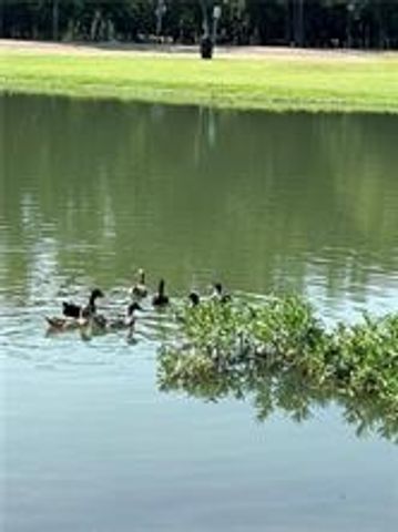 413 Travis Drive, Mcgregor, TX 76657