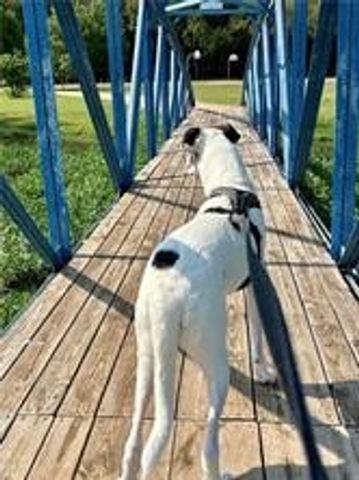 413 Travis Drive, Mcgregor, TX 76657