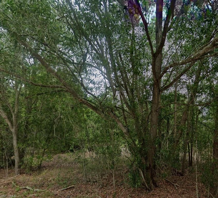 118 Johns AVE, LEHIGH ACRES, FL 33936 — exterior