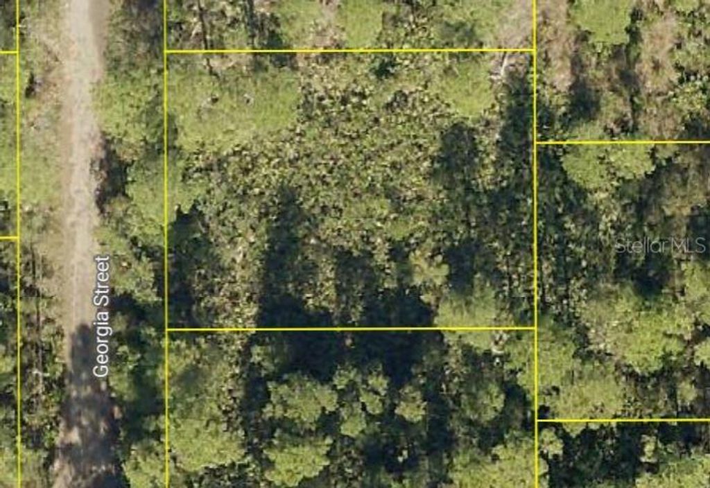 GEORGIA STREET, Paisley, FL 32767