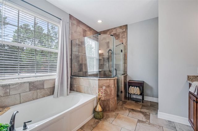 450 VALLEY STREAM DRIVE, Geneva, FL 32732