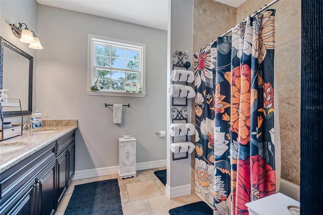 450 VALLEY STREAM DRIVE, Geneva, FL 32732