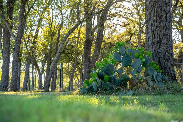 2873 Ranch Road 1888, Fredericksburg, TX 78624