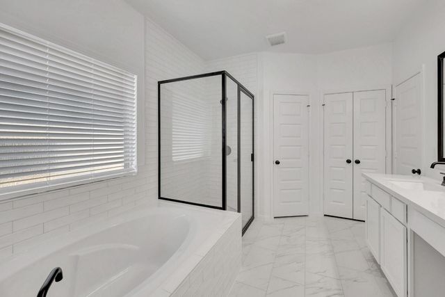 21915 Iris Colony Drive, Waller, TX 77484