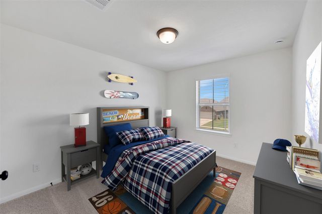 21915 Iris Colony Drive, Waller, TX 77484
