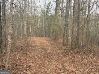 01 Swan Bridge Road, Talking Rock, GA 30175