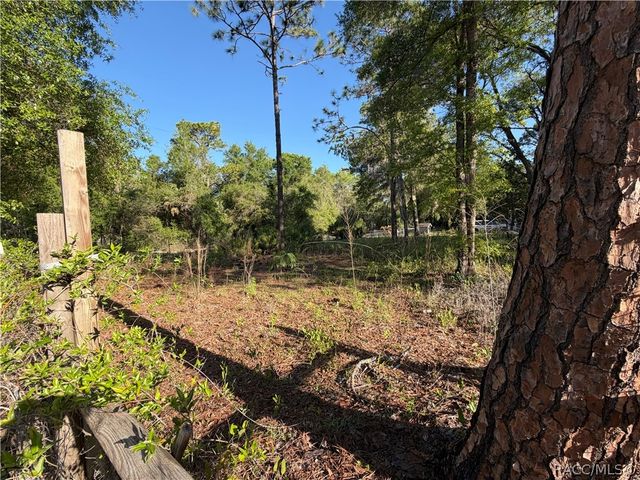 3065 N Amphibian Point, Crystal River, FL 34428