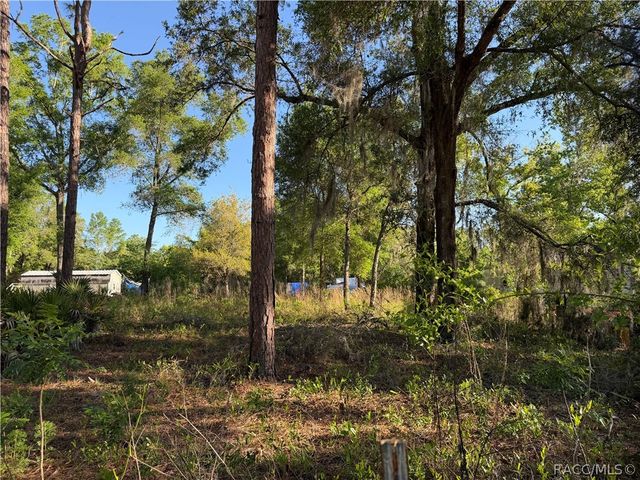3065 N Amphibian Point, Crystal River, FL 34428