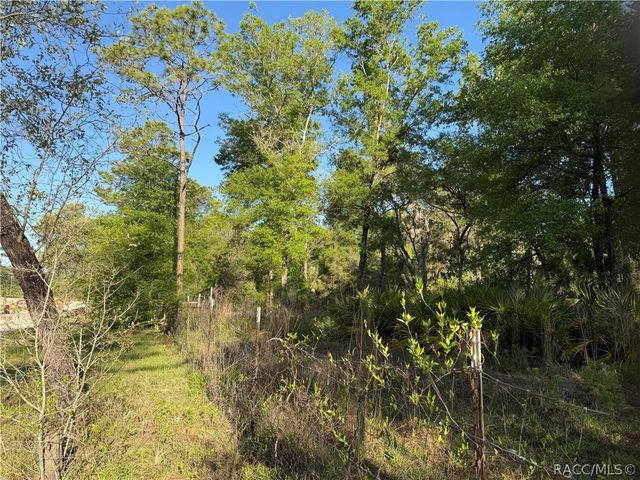 3065 N Amphibian Point, Crystal River, FL 34428