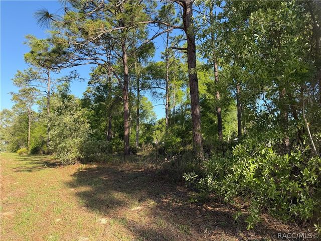 3065 N Amphibian Point, Crystal River, FL 34428