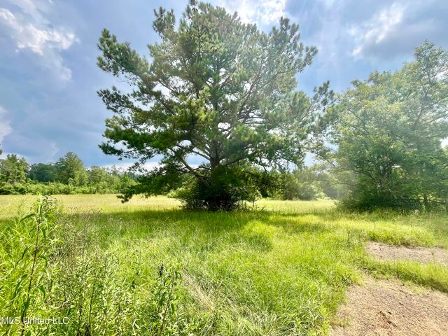 2008 Blocker Road, Crystal Springs, MS 39059
