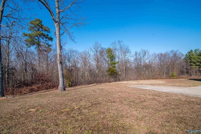 588 Latham, Eva, AL 35621