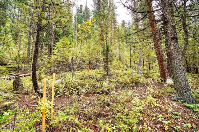10862-10872 Twin Spruce Road, Golden, CO 80403