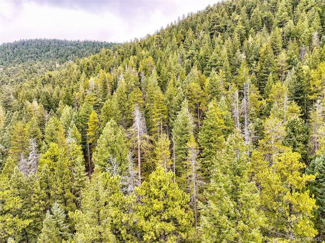 10862-10872 Twin Spruce Road, Golden, CO 80403
