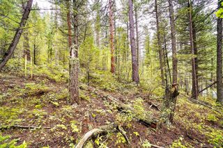 10862-10872 Twin Spruce Road, Golden, CO 80403