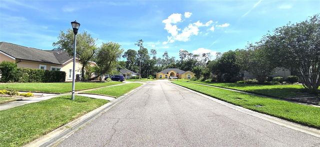3904 HIDDEN SPRING PLACE, Valrico, FL 33596