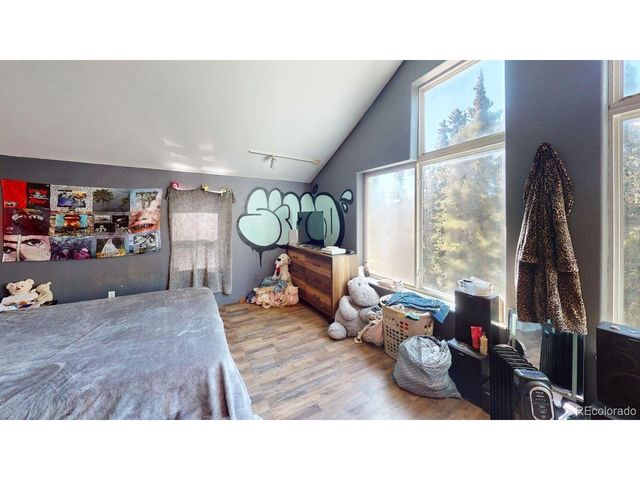 280 Cr-14 A, Fairplay, CO 80440