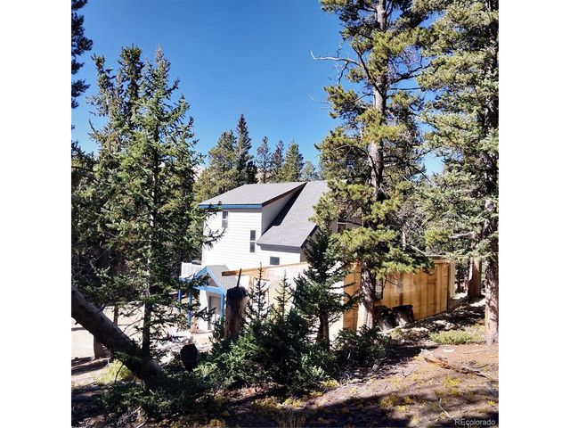 280 Cr-14 A, Fairplay, CO 80440