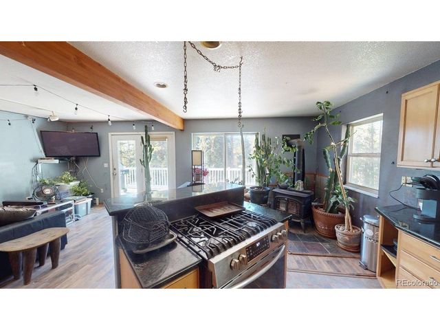 280 Cr-14 A, Fairplay, CO 80440