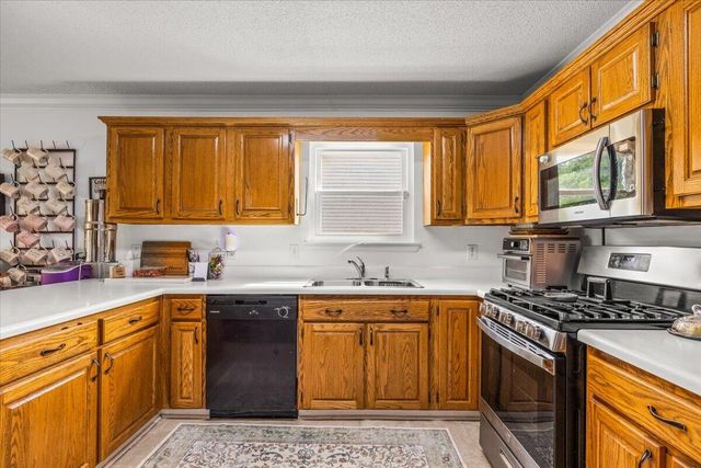 207 Eagle Landing Drive, Flintstone, GA 30725