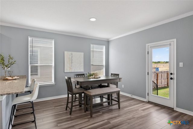 4133 Harper Lee Lane, New Braunfels, TX 78130