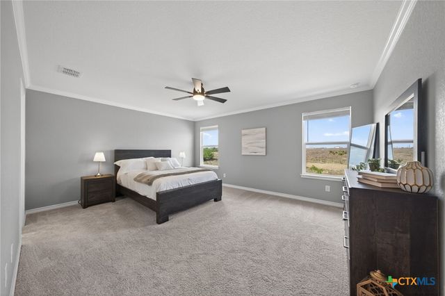 4133 Harper Lee Lane, New Braunfels, TX 78130