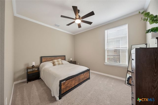 4133 Harper Lee Lane, New Braunfels, TX 78130