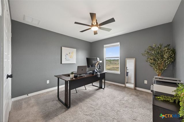 4133 Harper Lee Lane, New Braunfels, TX 78130