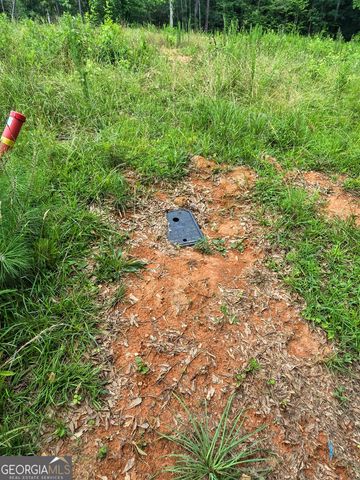 5 LOTS Rome St. & Driver Street, Temple, GA 30179