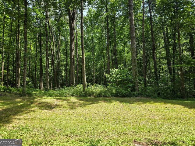 5 LOTS Rome St. & Driver Street, Temple, GA 30179