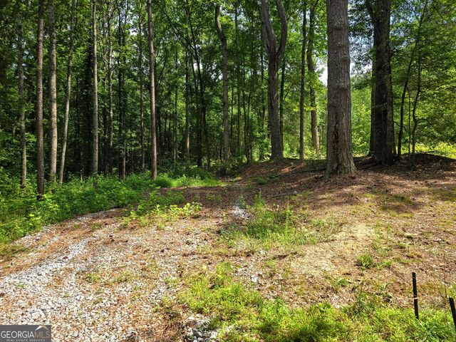 5 LOTS Rome St. & Driver Street, Temple, GA 30179