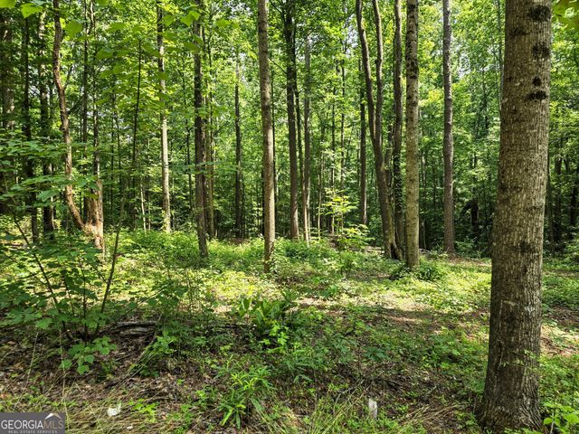 5 LOTS Rome St. & Driver Street, Temple, GA 30179