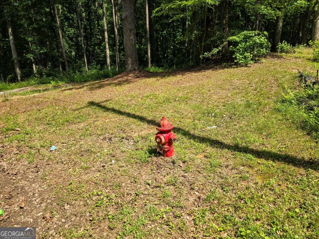 5 LOTS Rome St. & Driver Street, Temple, GA 30179