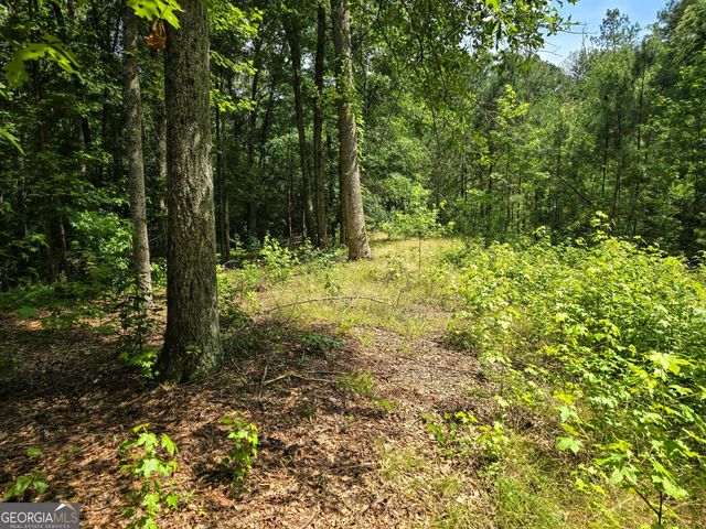 5 LOTS Rome St. & Driver Street, Temple, GA 30179