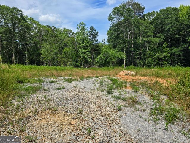 5 LOTS Rome St. & Driver Street, Temple, GA 30179