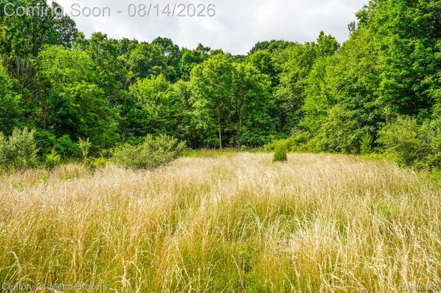 8294 Davison Road, Davison Township, MI 48423