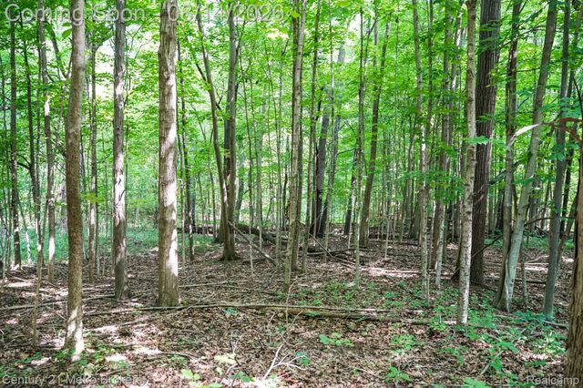 8294 Davison Road, Davison Township, MI 48423