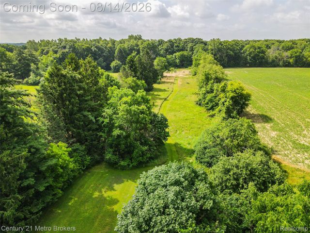 8294 Davison Road, Davison Township, MI 48423
