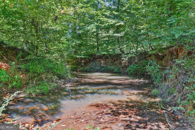 369 Abares Road, Forsyth, GA 31029