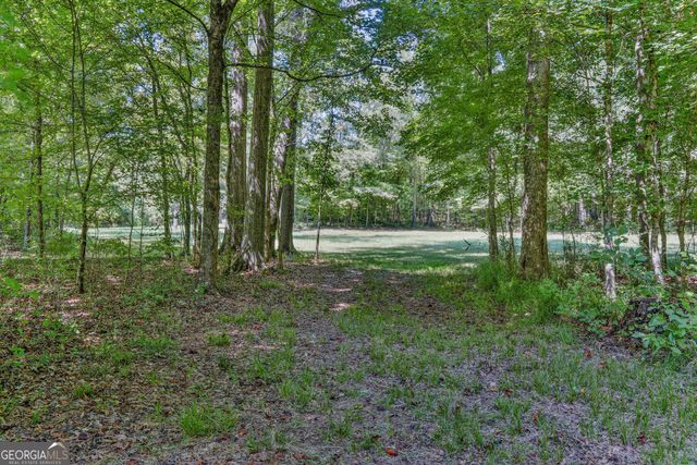 369 Abares Road, Forsyth, GA 31029
