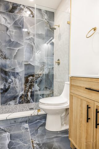 1245 S Fairfield Avenue 3, Chicago, IL 60608