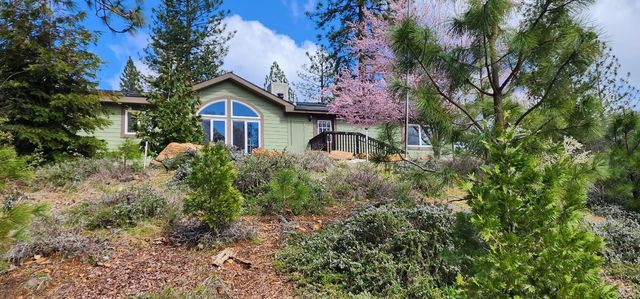 20455 Ponderosa Way, Fiddletown, CA 95629