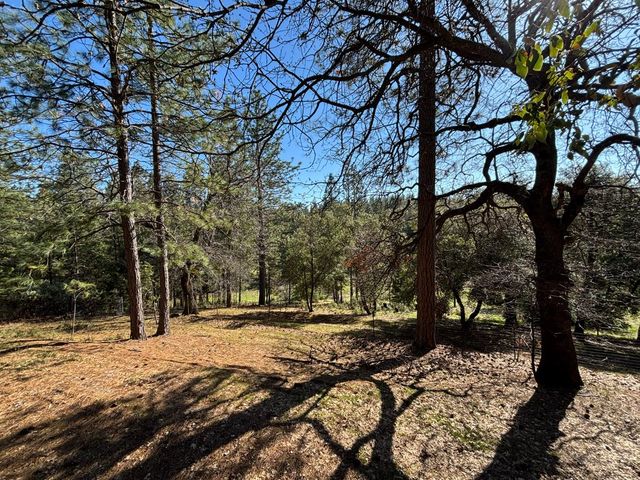 20455 Ponderosa Way, Fiddletown, CA 95629