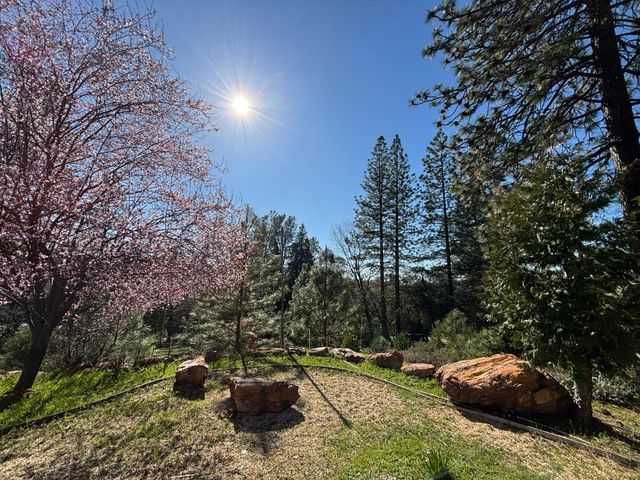 20455 Ponderosa Way, Fiddletown, CA 95629