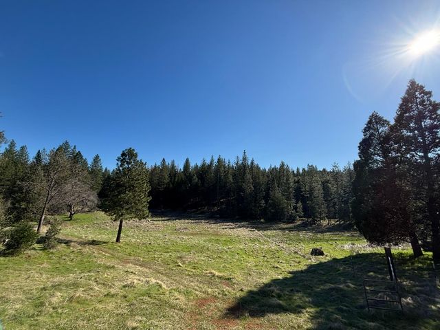 20455 Ponderosa Way, Fiddletown, CA 95629