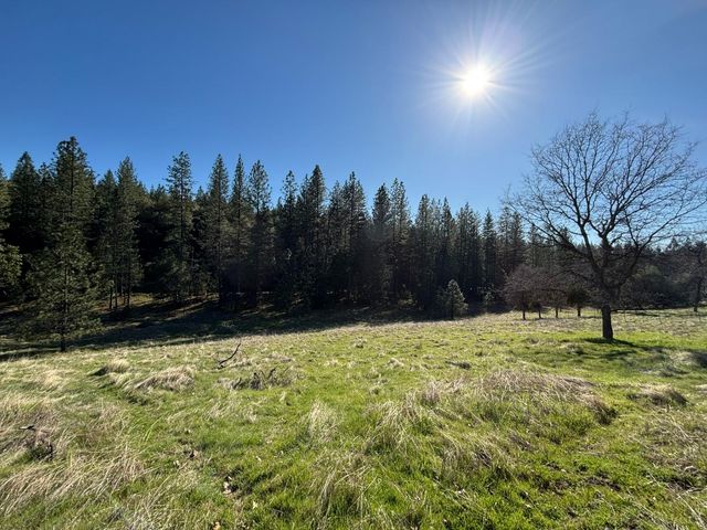 20455 Ponderosa Way, Fiddletown, CA 95629