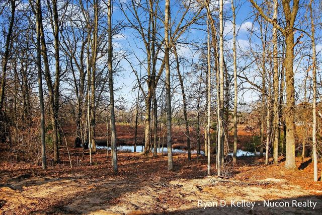 8411 Peninsula Drive, Stanwood, MI 49346